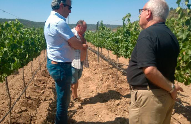 Our oenologist Pepe Hidalgo, checking the maturation process.