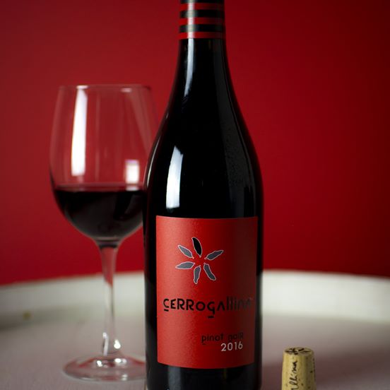 ¡Nuestro Pinot Noir en el diario Levante!