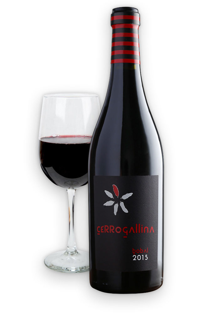 Cerro Gallina Bobal 2015