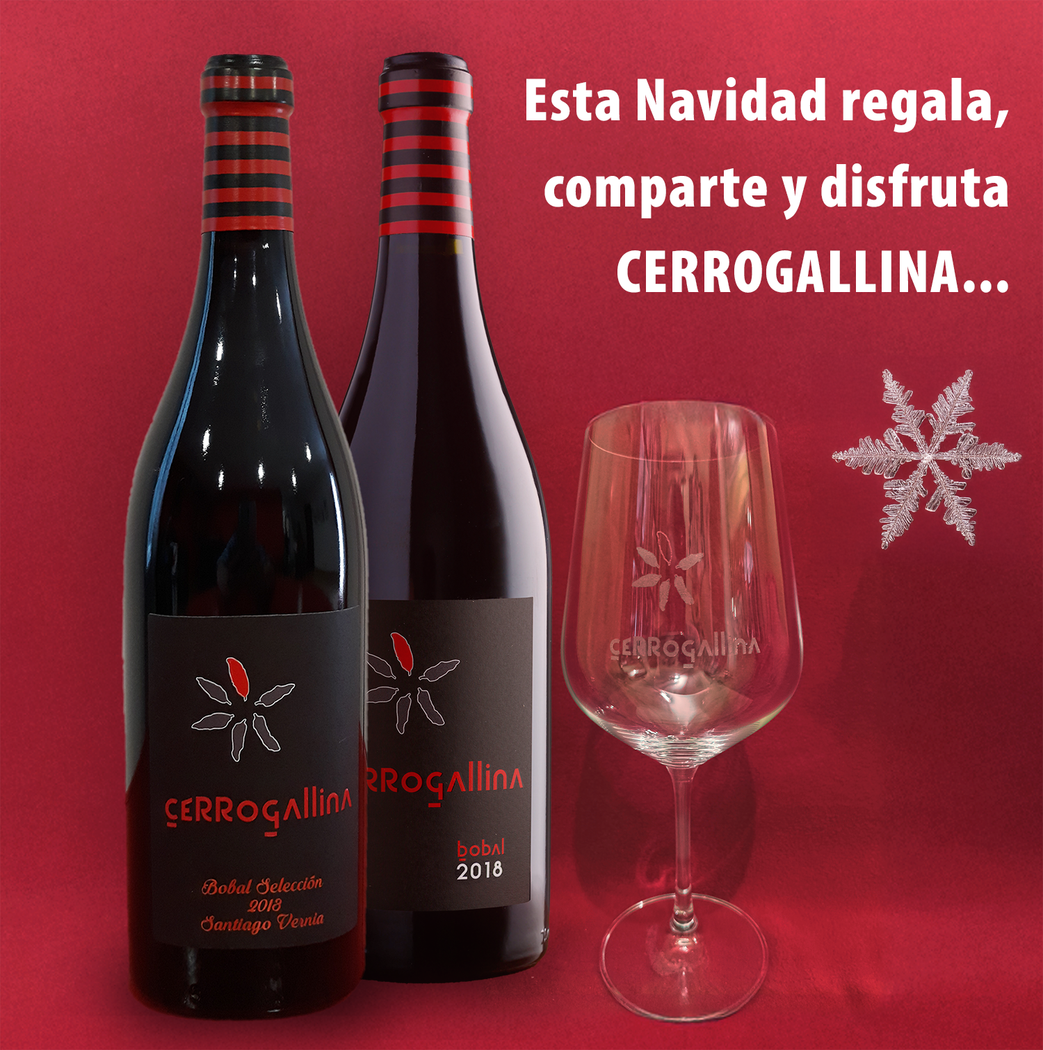 Lote Promoción de Navidad